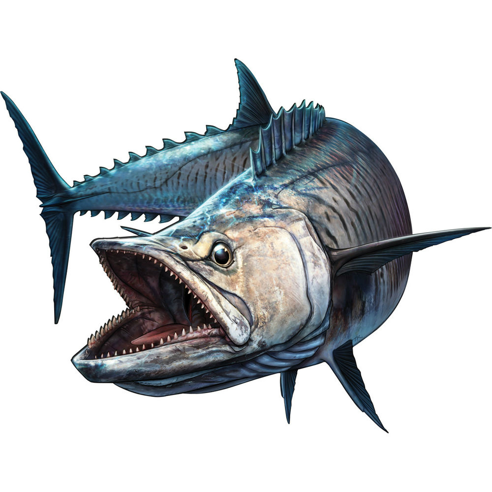 Shark Fish Fishing Boat Rod Bu - Bass Fishing Lure 评论和价格