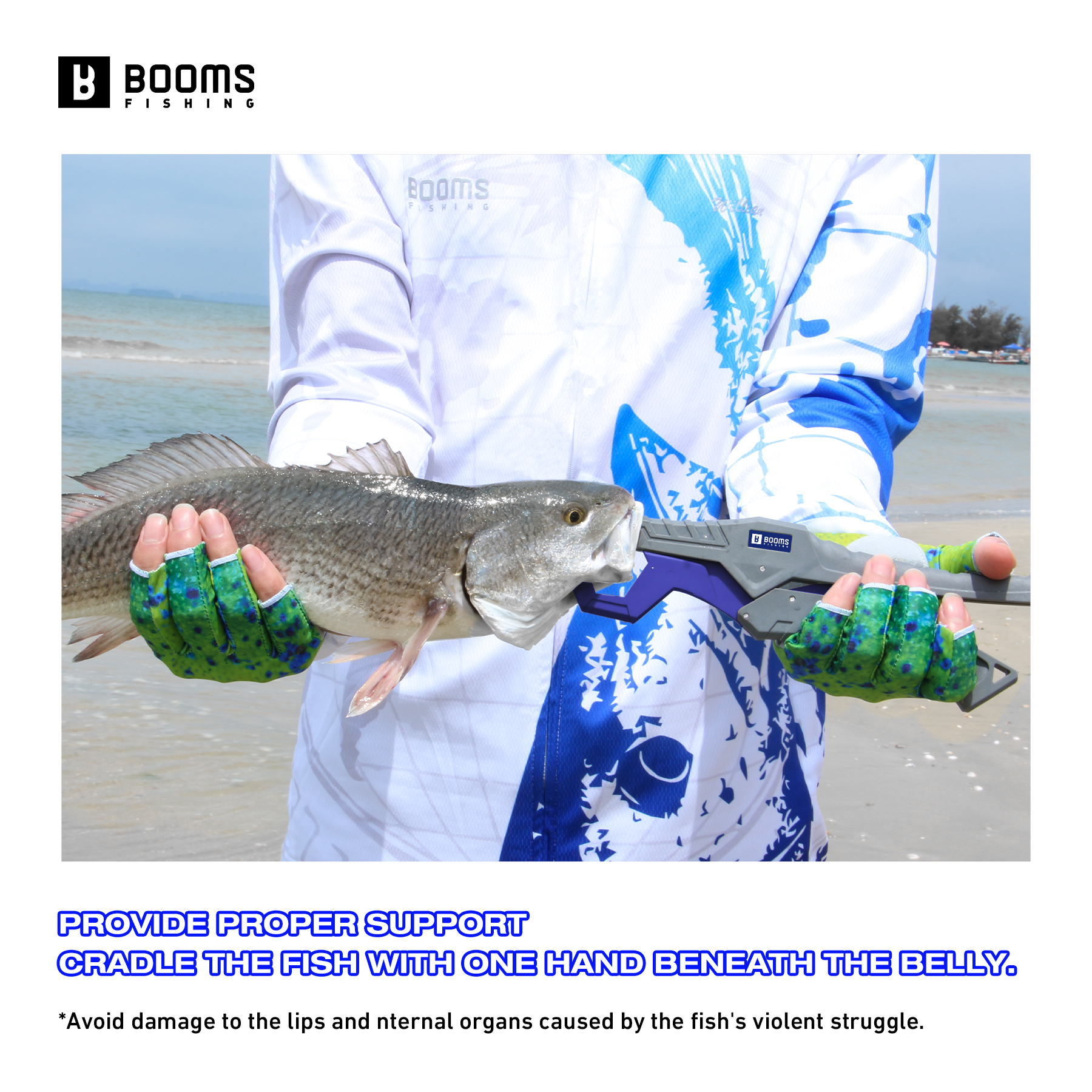 Booms Fishing 23cm Pliers and  - Fishing Equipment Pictures 评论和价格